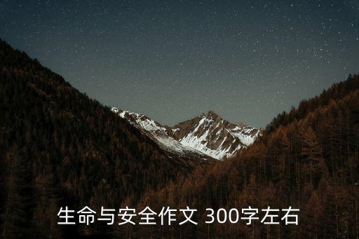 生命與安全，安全與生命的牽連