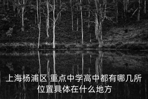 上海市楊浦區高中排名2020年，上海楊浦區哪個學校的高中比較好