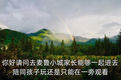 你好請問去麥魯小城家長能夠一起進去陪同孩子玩還是只能在一旁觀看