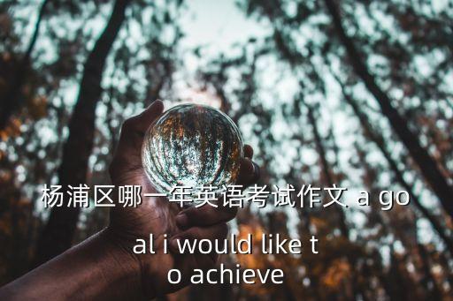 楊浦區(qū)哪一年英語考試作文 a goal i would like to achieve