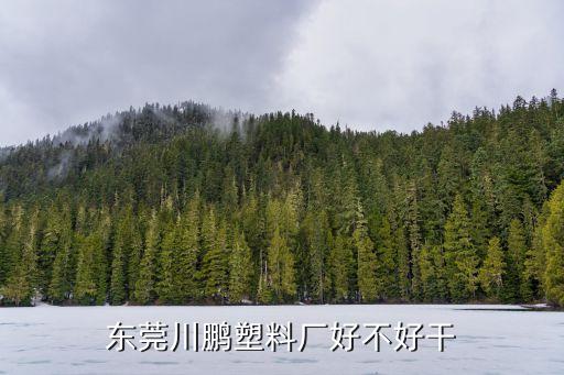 東莞市鵬泰塑膠有限公司怎么樣，東莞川鵬塑料廠好不好干