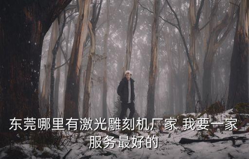 東莞 激光雕刻，東莞哪里有激光雕刻機廠家 我要一家服務最好的