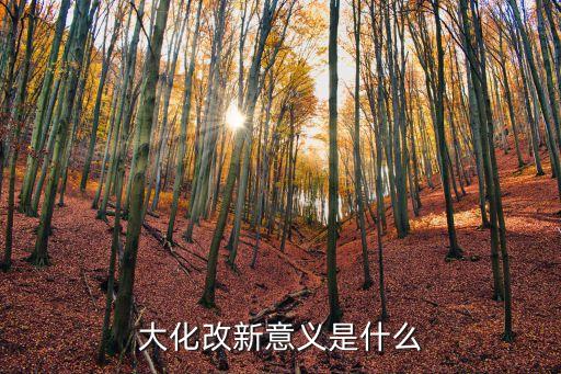 大化革新，大化改新的歷史意義是什么