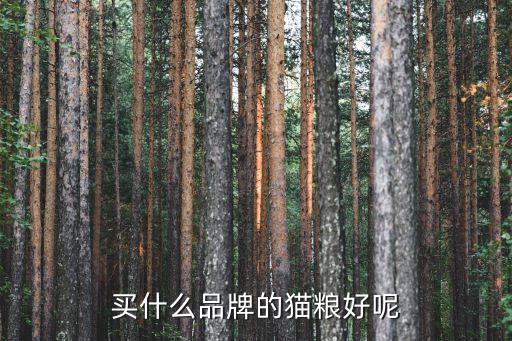 買什么品牌的貓糧好呢