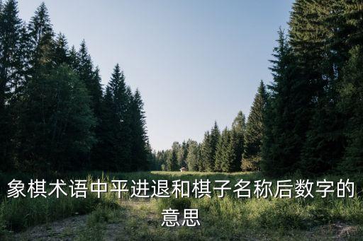 象棋術(shù)語(yǔ)中平進(jìn)退和棋子名稱(chēng)后數(shù)字的意思