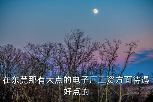 在東莞那有大點的電子廠工資方面待遇好點的