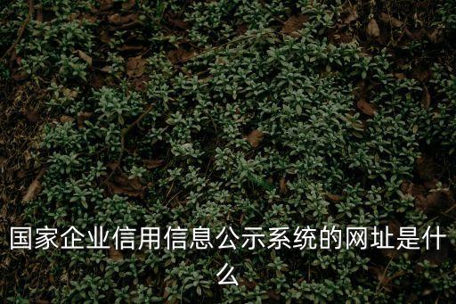 國家信用信息公示系統官網，全國企業(yè)信用信息公示系統什么打開