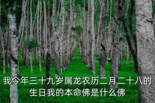 我今年三十九歲屬龍農(nóng)歷二月二十八的生日我的本命佛是什么佛