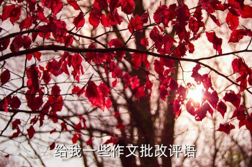 作文批改評語，給我一些作文批改評語