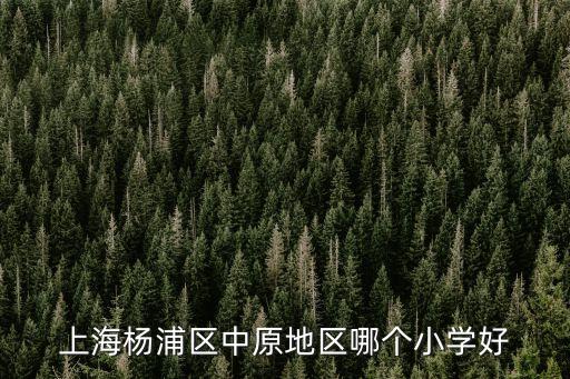 上海市大團鎮小學怎么樣，上海市大場鎮的申華小學怎么樣現在初中班上前幾名都是申華的