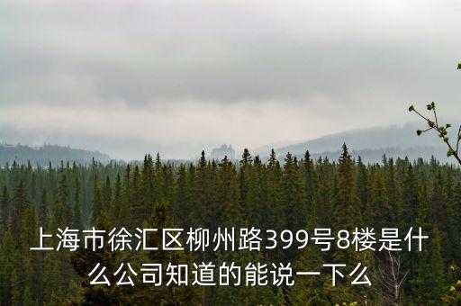 上海市徐匯區柳州路399號8樓是什么公司知道的能說一下么