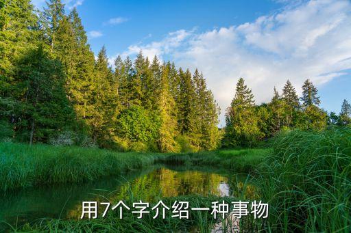用7個字介紹一種事物