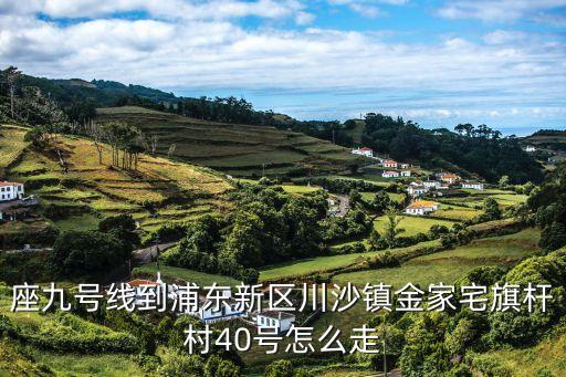 座九號線到浦東新區川沙鎮金家宅旗桿村40號怎么走