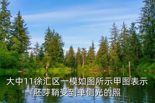 大中11徐匯區一模如圖所示甲圖表示胚芽鞘受到單側光的照