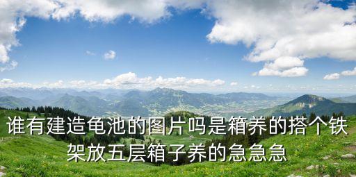 誰有建造龜池的圖片嗎是箱養(yǎng)的搭個(gè)鐵架放五層箱子養(yǎng)的急急急
