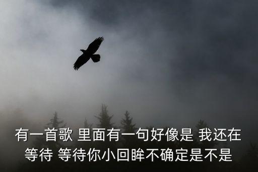 有一首歌 里面有一句好像是 我還在等待 等待你小回眸不確定是不是