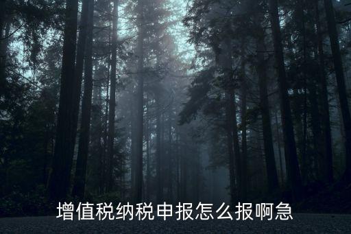 增值稅怎么申報(bào)，怎樣報(bào)增值稅