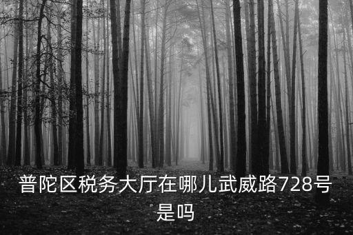 普陀區(qū)稅務(wù)大廳在哪兒武威路728號(hào)是嗎
