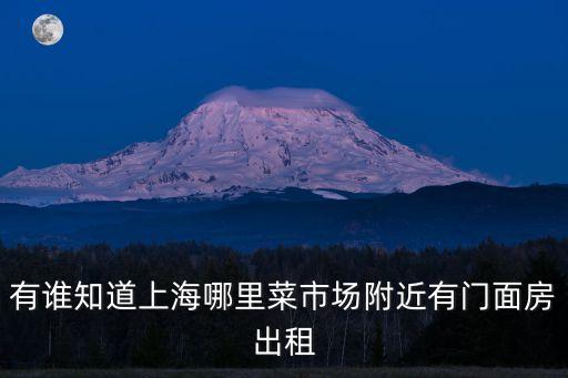 上海市小門面出租房，上海市青浦區(qū) 有 門面房出租嗎