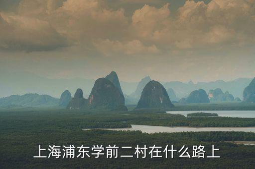 上海浦東學前二村在什么路上