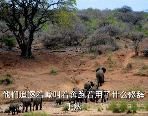 他們追逐著喊叫著奔跑著用了什么修辭手法