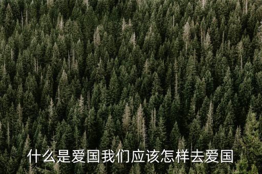 什么是愛國我們應該怎樣去愛國