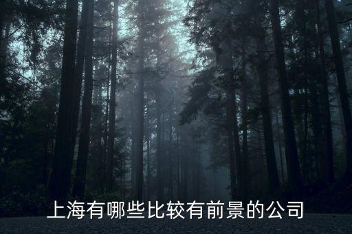 上海有哪些比較有前景的公司