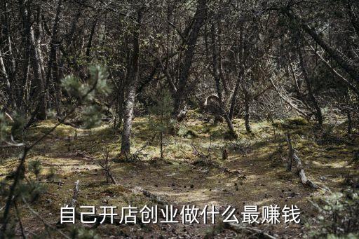 自己開店創業做什么最賺錢