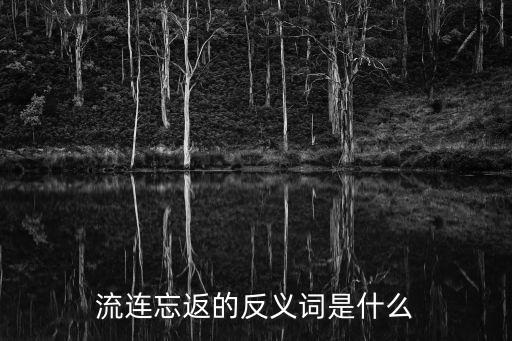 流連忘返的反義詞，流連忘返 忐忑不安 的反義詞