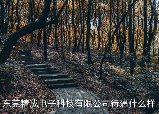 東莞成精電子有限公司招聘信息，現在東莞那個電子廠在招工