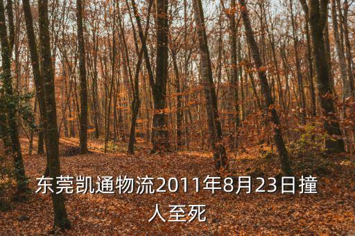 東莞重大交通事故視頻，東莞凱通物流2011年8月23日撞人至死
