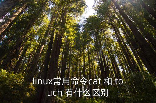 touch命令，linux常用命令cat 和 touch 有什么區(qū)別