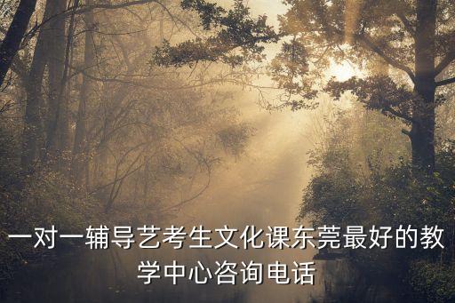 一對一輔導藝考生文化課東莞最好的教學中心咨詢電話