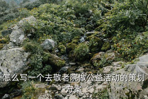 敬老院活動策劃書，誰能幫忙寫個敬老院獻愛心活動策劃書
