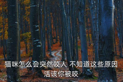 貓突然咬人，貓咪怎么會突然咬人 不知道這些原因活該你被咬