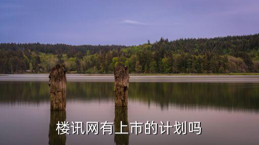 樓訊網有上市的計劃嗎