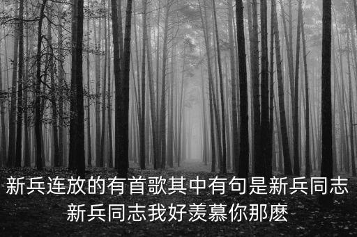 新兵同志，新兵連放的有首歌其中有句是新兵同志新兵同志我好羨慕你那麼