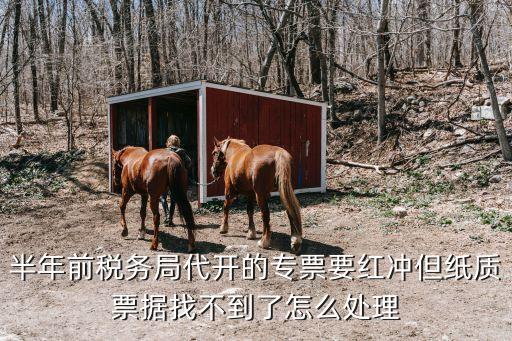 半年前稅務局代開的專票要紅沖但紙質票據找不到了怎么處理