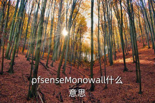 pfsenseMonowall什么意思