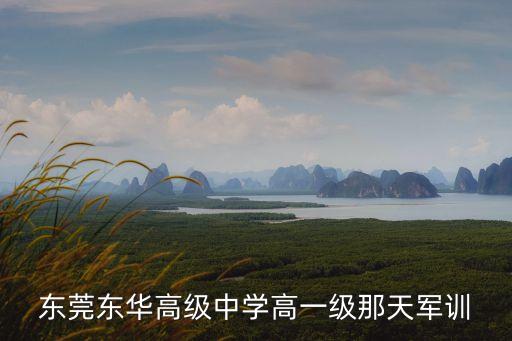 東莞東華中學軍訓圖片，東莞東華高級中學高一級那天軍訓