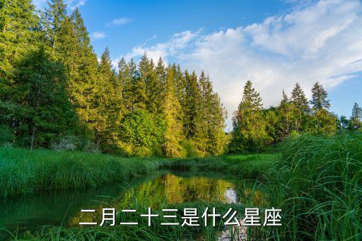 2月23日是什么星座，二月二十三是什么星座