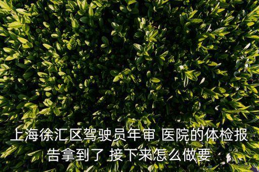 上海徐匯區(qū)駕駛員年審 醫(yī)院的體檢報告拿到了 接下來怎么做要