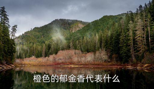 橙色的郁金香代表什么