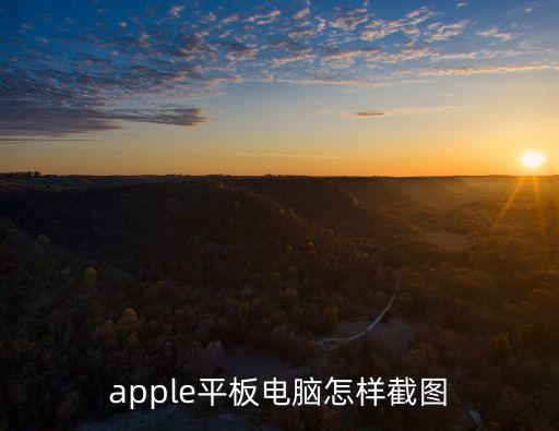 apple平板電腦怎樣截圖