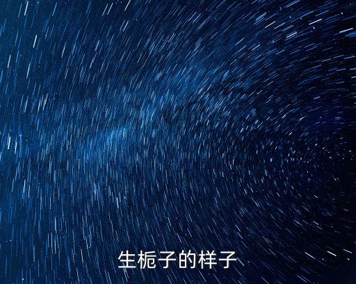 生梔子的樣子
