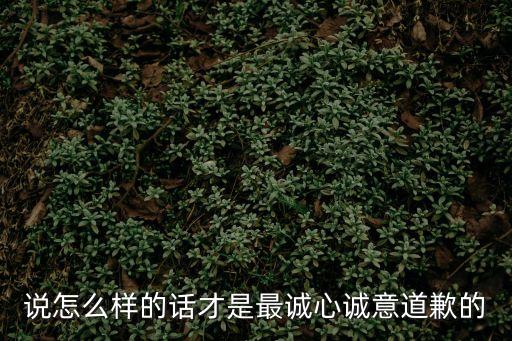 說怎么樣的話才是最誠心誠意道歉的