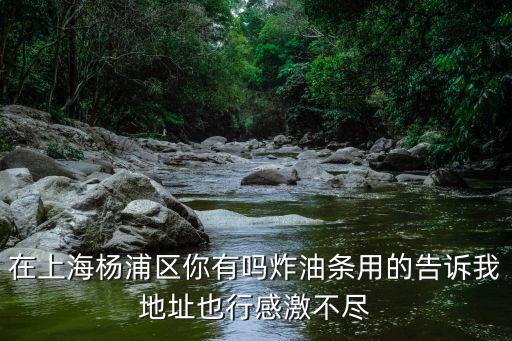 在上海楊浦區你有嗎炸油條用的告訴我地址也行感激不盡
