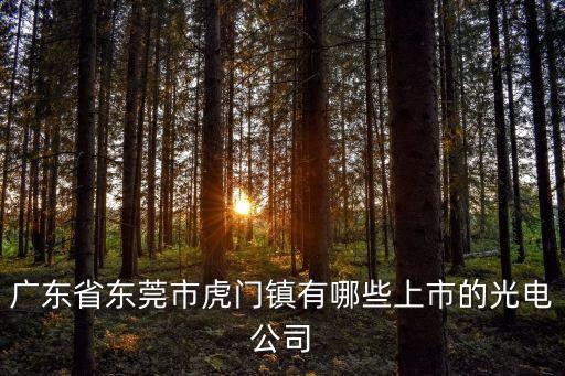 東莞思進光電科技有限公司，請問東莞市有哪些生產LED燈廠家