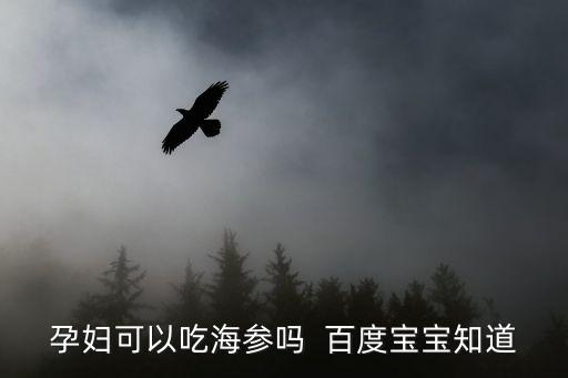 孕婦可以吃海參嗎  百度寶寶知道