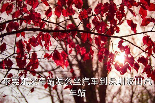 東莞東到深圳坂田，從東莞東坑到深圳坂田怎么走